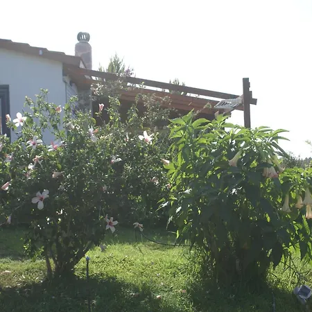 Vakantiehuis With Garden In