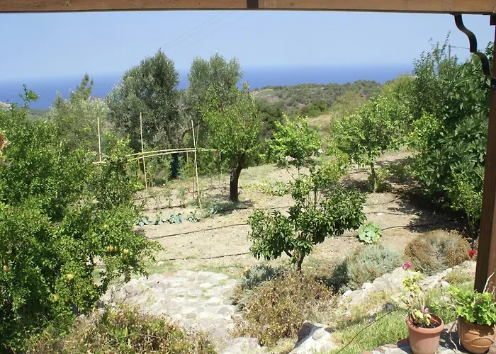 With Garden In *