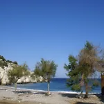 With Garden In *