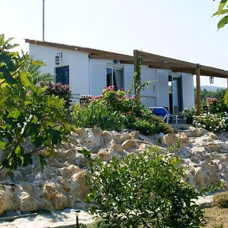 Charming In With Garden *