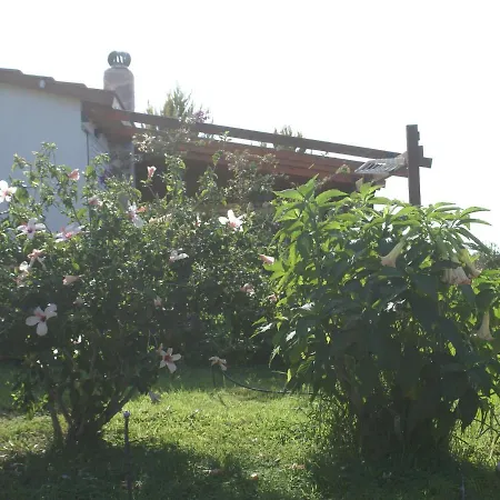 Casa vacanze Charming In With Garden *