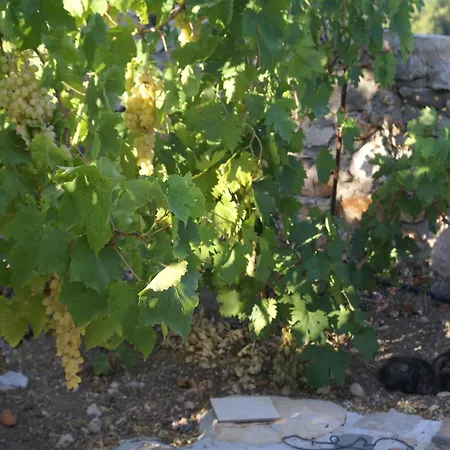 Дом отдыха With Garden In *