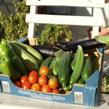 With Garden In * Kritinía