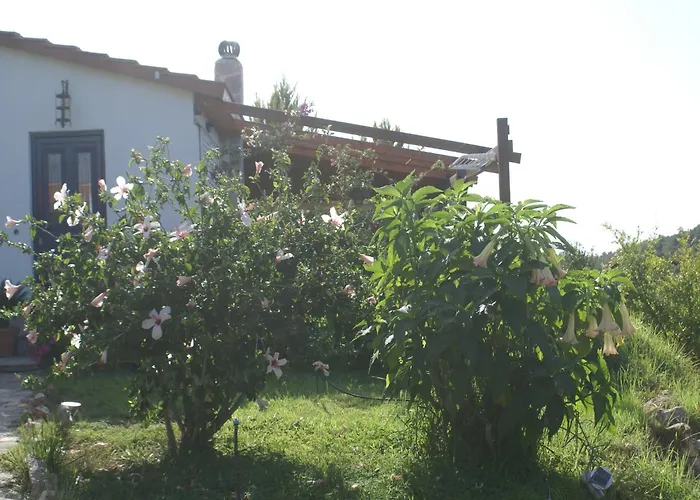 Дом отдыха With Garden In