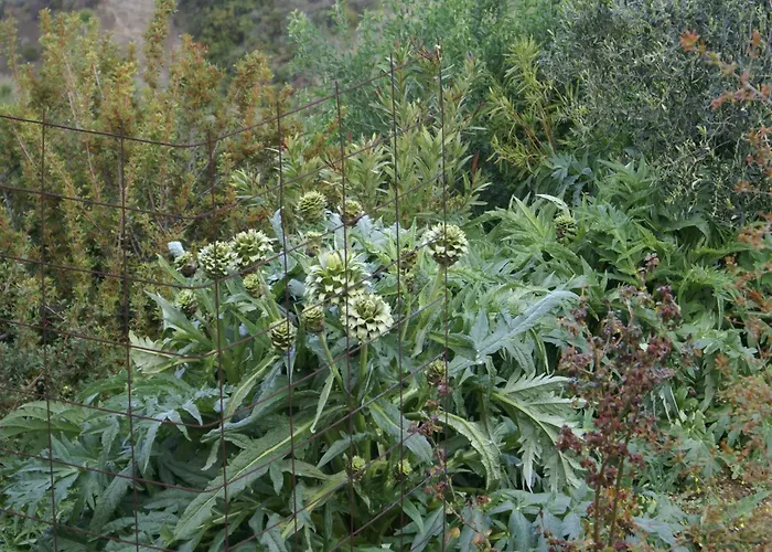 Дом отдыха With Garden In Kritinia