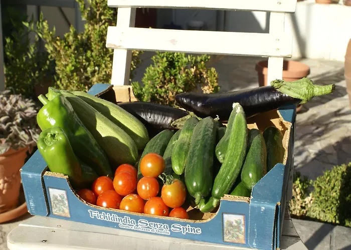 With Garden In * Kritinia